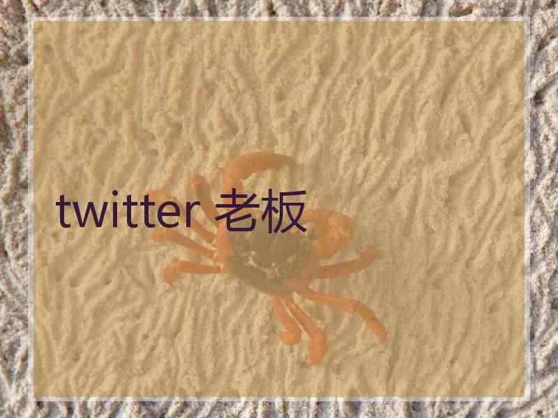 twitter 老板