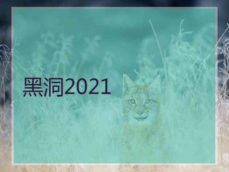 黑洞2021