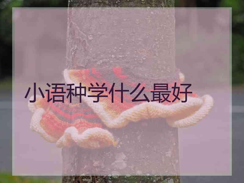 小语种学什么最好