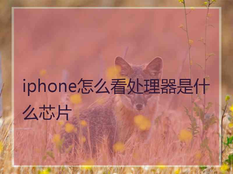 iphone怎么看处理器是什么芯片