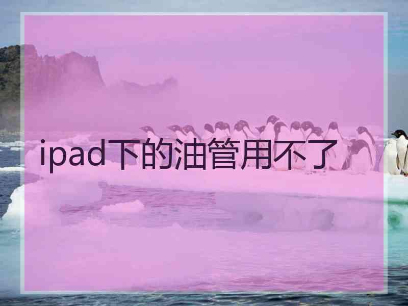 ipad下的油管用不了