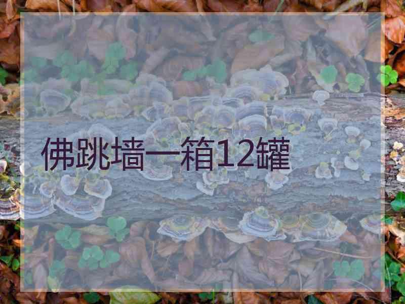 佛跳墙一箱12罐