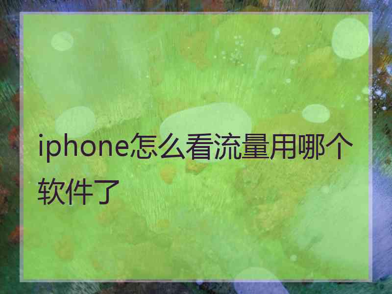 iphone怎么看流量用哪个软件了