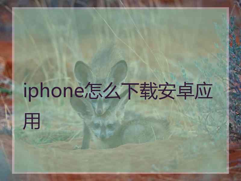 iphone怎么下载安卓应用