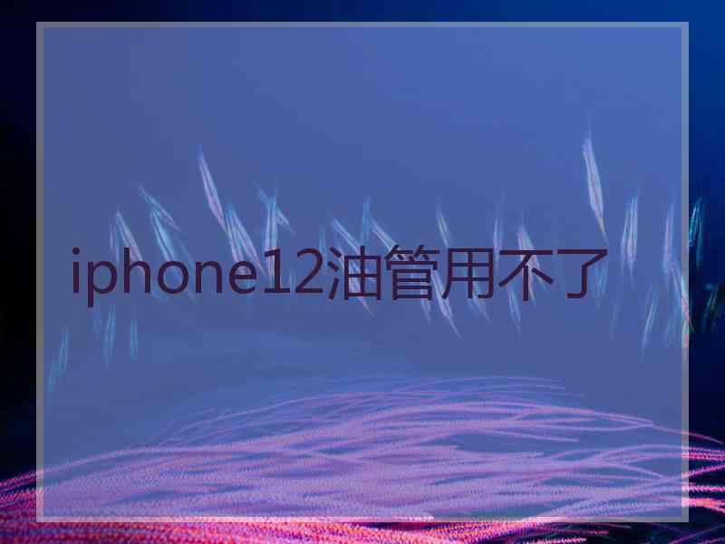 iphone12油管用不了