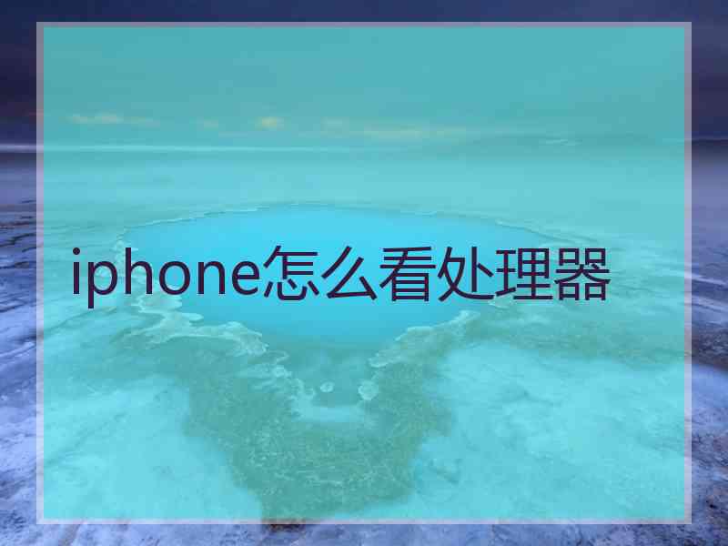 iphone怎么看处理器