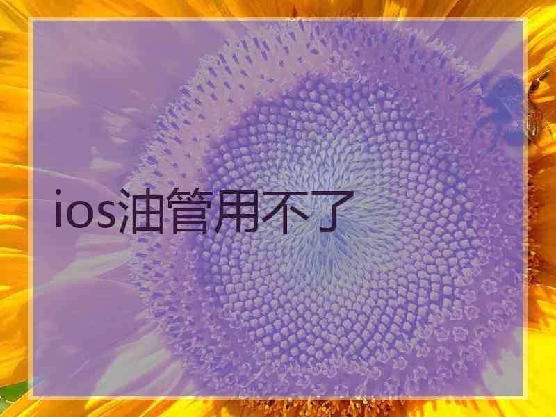 ios油管用不了