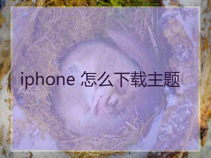 iphone 怎么下载主题